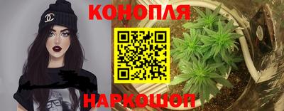 дмт Будённовск