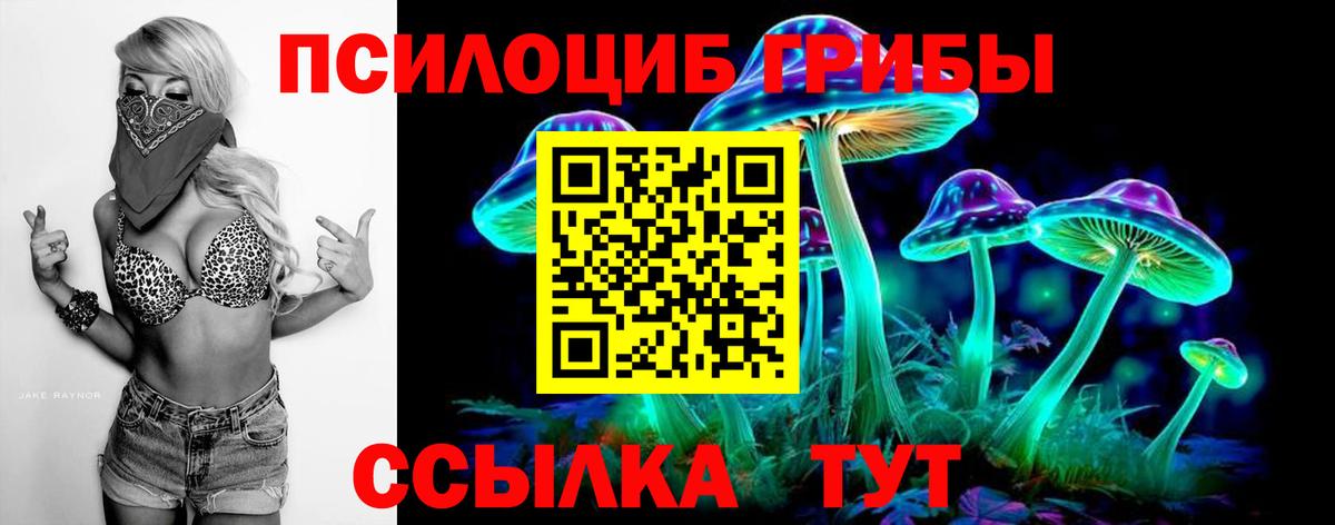 Галлюциногенные грибы мухоморы Новоалтайск
